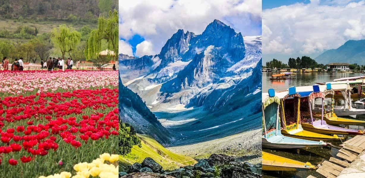 Reclaiming Paradise: A Call for Safety and Dignity in Kashmir